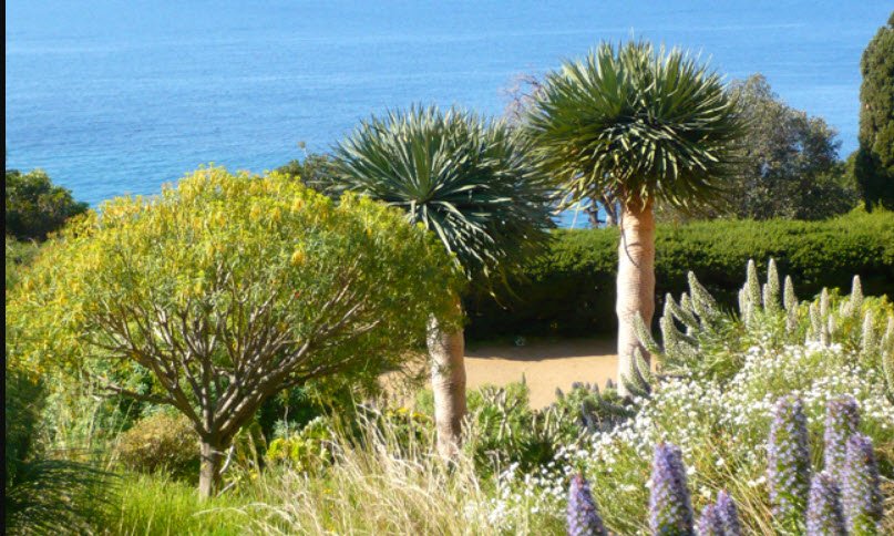 Domaine du Rayol, The Mediterranean Gardens, Rayol-Canadel-sur-Mer, France, France